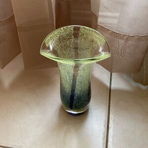 Hand Blown Art Vase